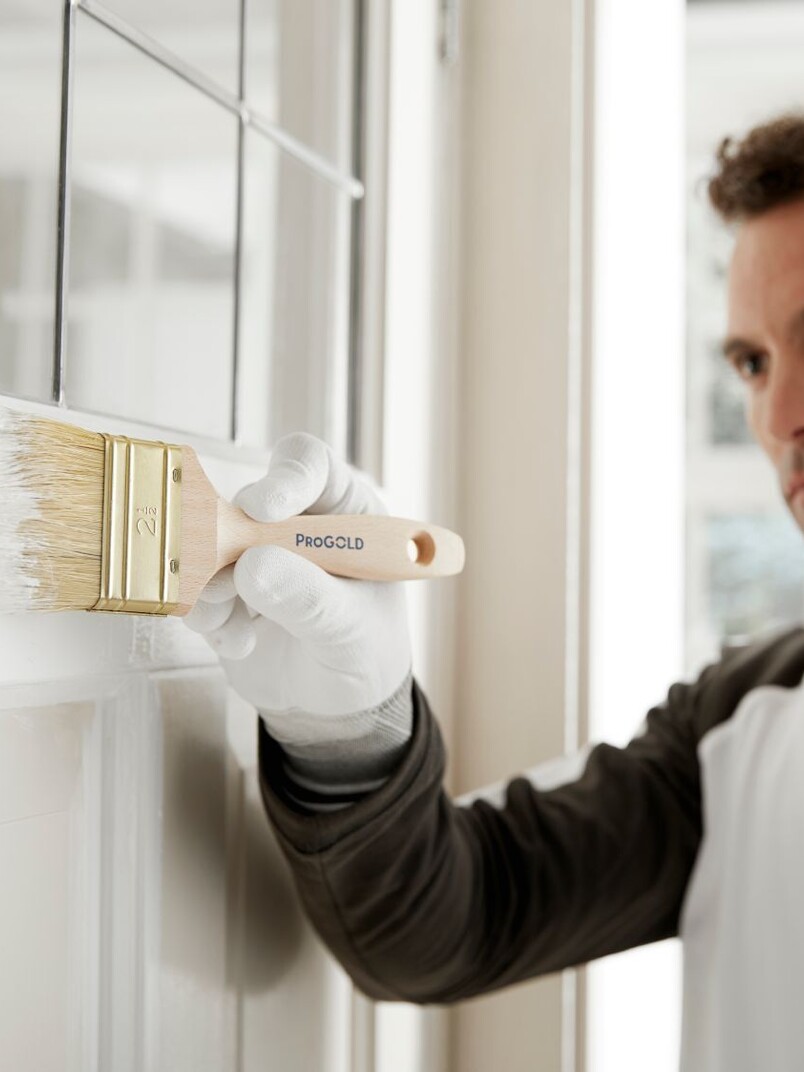 PPG Pro Painter - dla Wykonawców