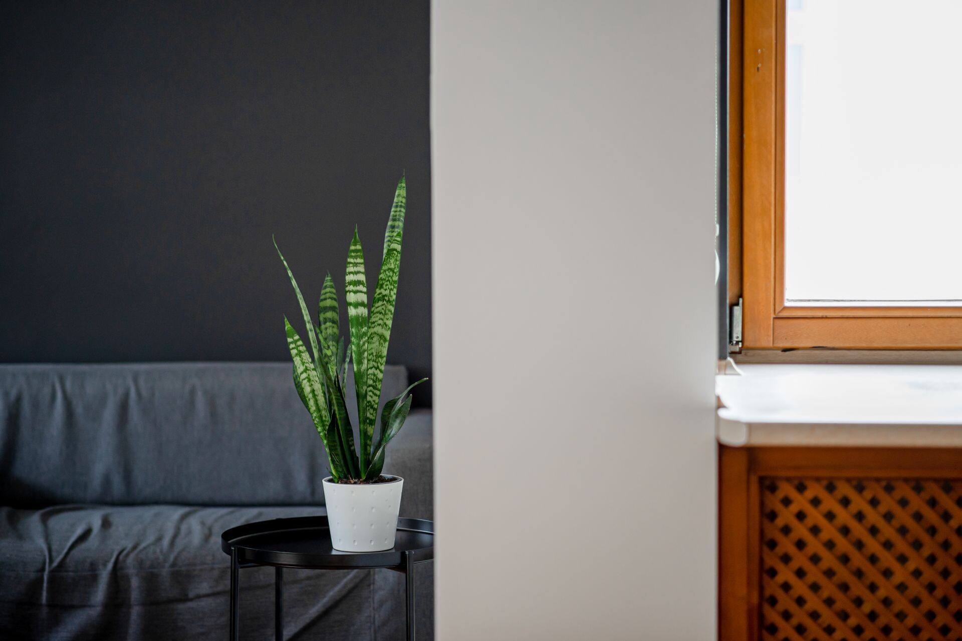 biuro w bieli i czerni